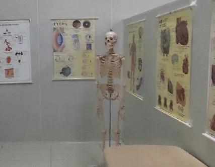 Anatomy and Phhysiology - Image